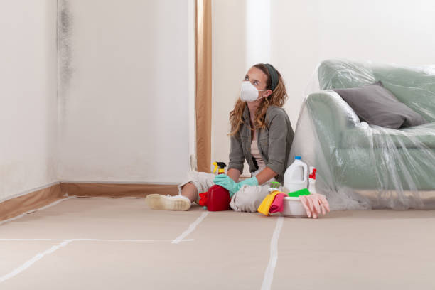 Reliable Mold Remediation contractor in Cresskill, NJ by 24 Hour Mold Removal