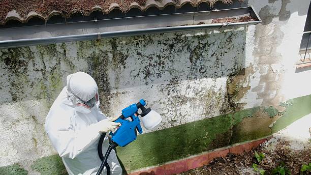 Top rated local Mold Remediation specialists in Cresskill, NJ